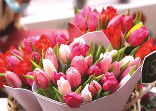 Любимым женщинам