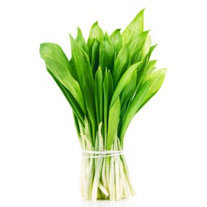 Колба-Черемша вес 