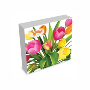 Салфетки Вейро Праздничные 2слойные 24*24см 25шт