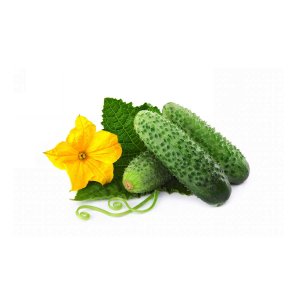 Огурец Пчелка вес 