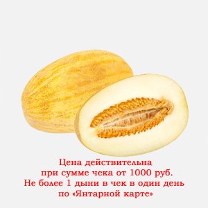 Дыня Торпеда вес