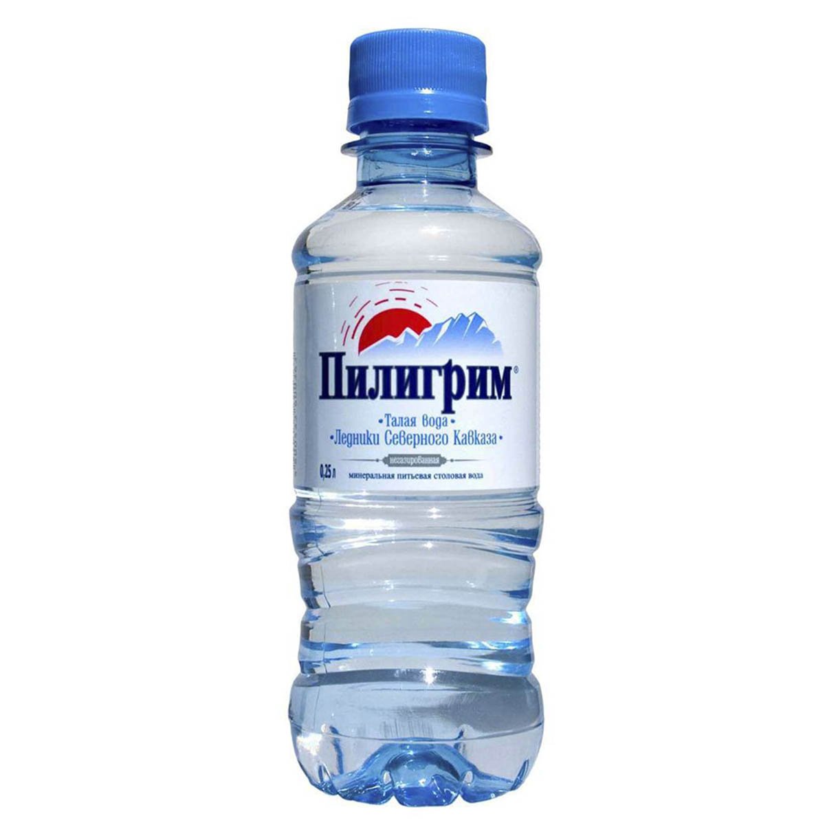 Купить пилигрим в москве. Вода Пилигрим питьевая 0.25л. Пилигрим вода негазированная 0.5. Пилигрим б/ГАЗ ПЭТ 0,25. Пилигрим вода 0.33.