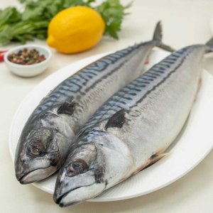 Скумбрия атлантическая тушка н/п дефрост вес