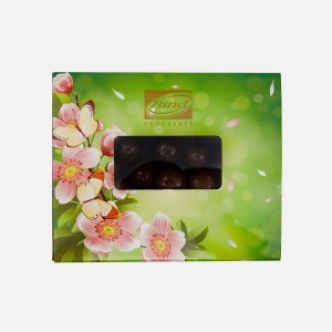 Драже Байнд Яблоко в шоколаде молочный 100г