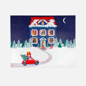 Сумка Арт и Дизайн стандарт плюс НГ ААА sp бум 500х400х150