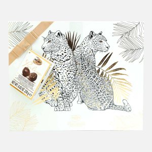 Набор конфет Сокадо Гиагуаро Ассорти с пралине/злаками 250г