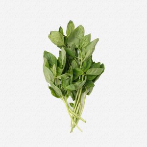 Базилик вес