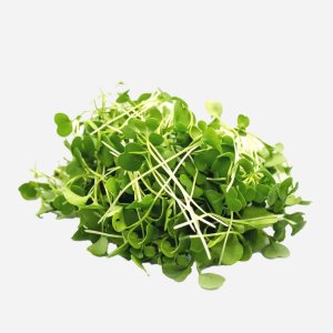 Проростки Сибросток микрозелень руккола 100г