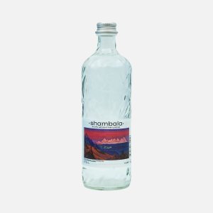 Вода Шамбала минеральная природная негаз cт/б 0,585л