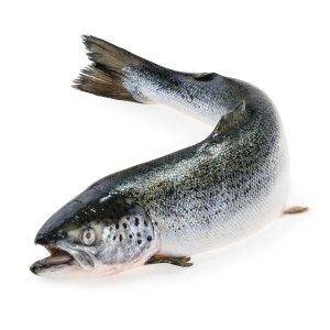 Семга Мурманск ПСГ охл вес